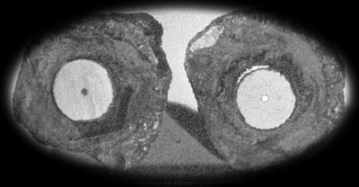 Owens Dry Lake Geode