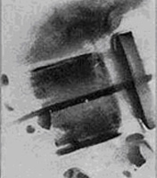 Owens Dry Lake Geode - X ray Plate 2